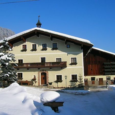 Palfnerhof Appartements Sankt Johann im Pongau Eksteriør billede