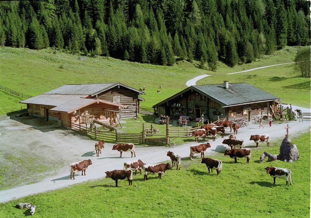 Palfnerhof Appartements Sankt Johann im Pongau Eksteriør billede