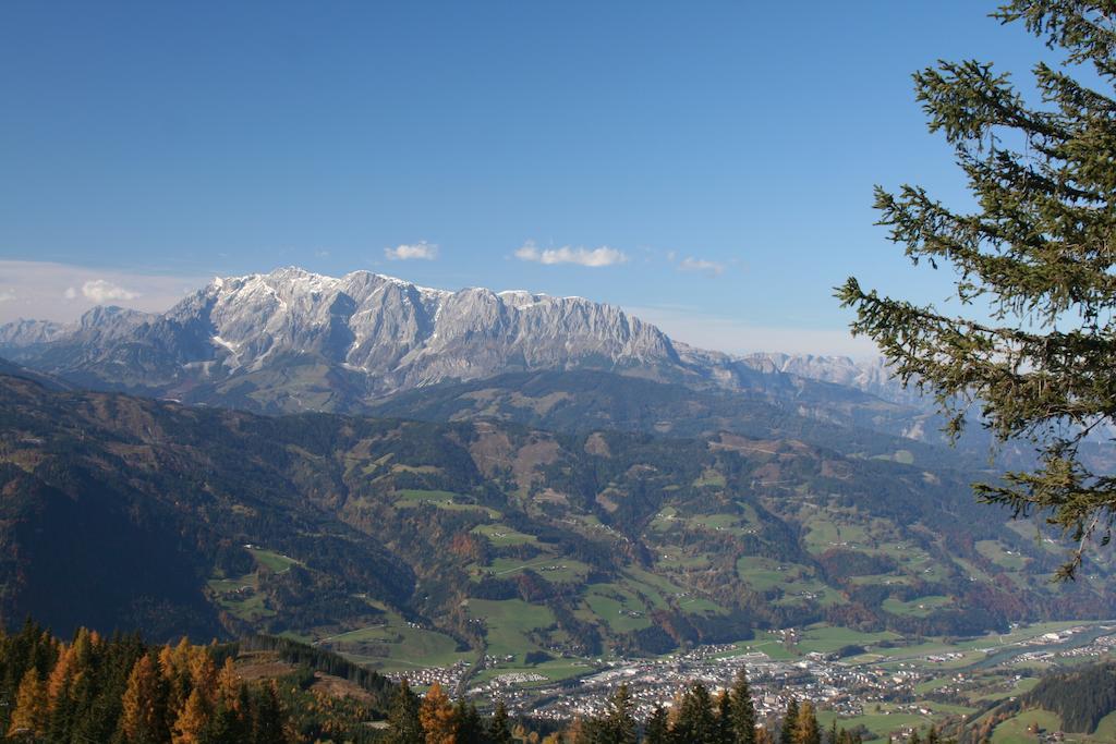 Palfnerhof Appartements Sankt Johann im Pongau Værelse billede