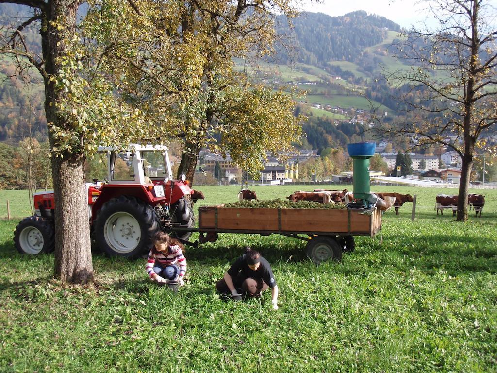 Palfnerhof Appartements Sankt Johann im Pongau Eksteriør billede